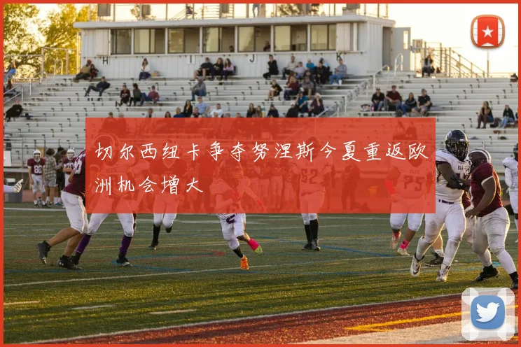 切尔西纽卡争夺努涅斯今夏重返欧洲机会增大