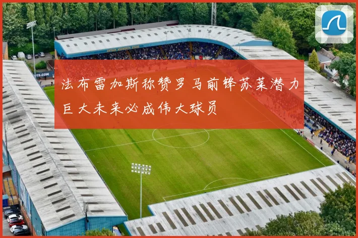 法布雷加斯称赞罗马前锋苏莱潜力巨大未来必成伟大球员