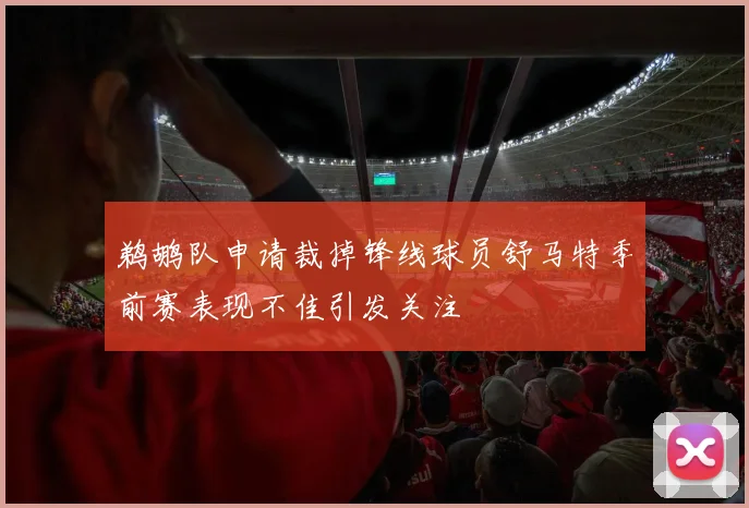 鹈鹕队申请裁掉锋线球员舒马特季前赛表现不佳引发关注