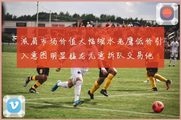 浓眉市场价值大幅缩水老鹰低价引入意图明显猛龙无意拆队交易他