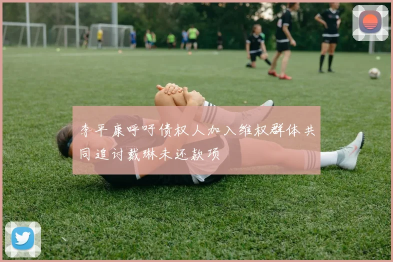 李平康呼吁债权人加入维权群体共同追讨戴琳未还款项